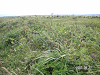 s_PICT0220_thumb.png